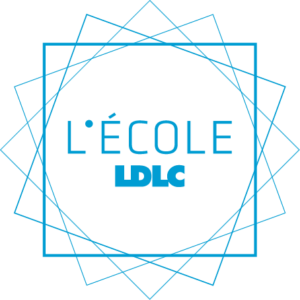 Logo de l'école LDLC